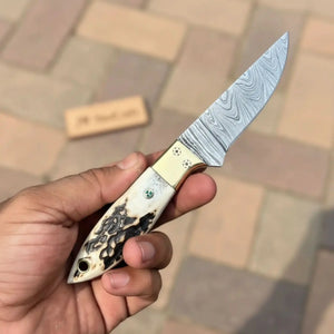 Handmade Damascus Drop Point EDC Knife Fixed Blade Stag Handle Brass Bolster by JW SteelCrafts