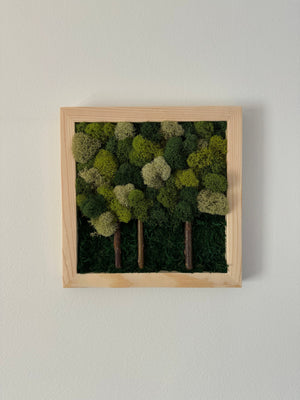Multi-green Forest, Square