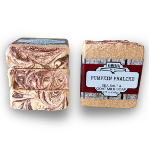 Pumpkin Praline Sea Salt Bar