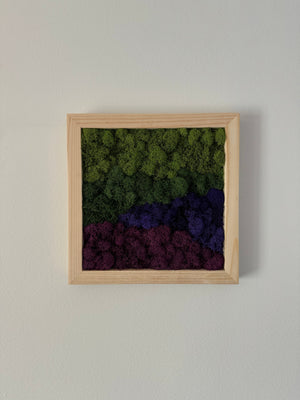 Purple Mountains, Square