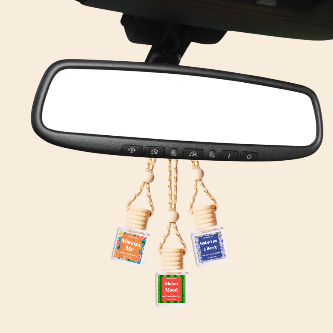 Planet Gay Car Diffuser by Lucid Coast Co. product image 2