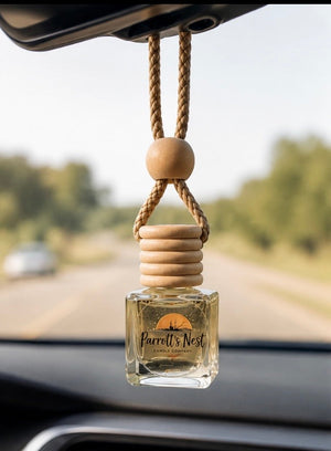Black Ice Car Diffuser | Vent Clip or Rearview Air Freshener