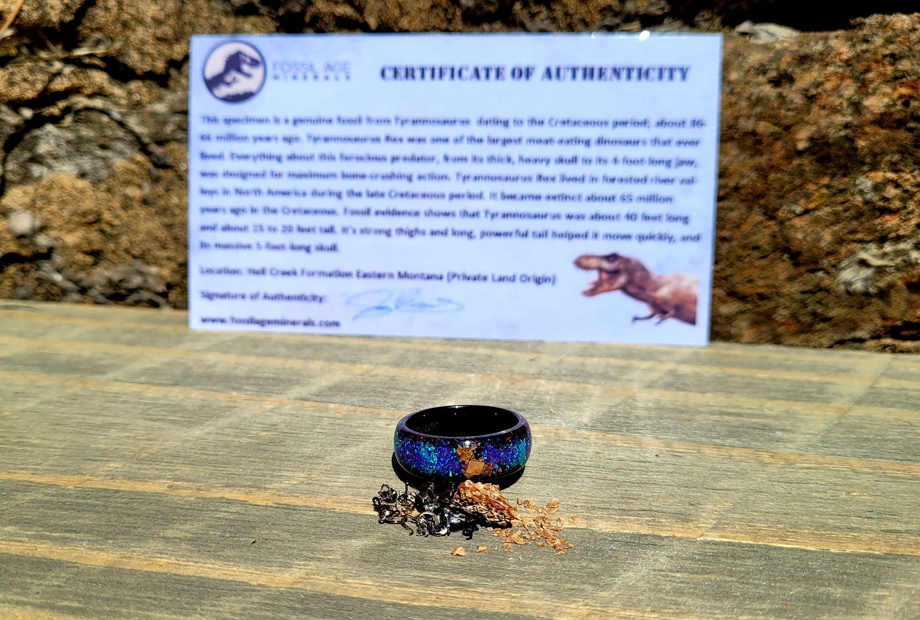 The T-Rex Galaxy Ring