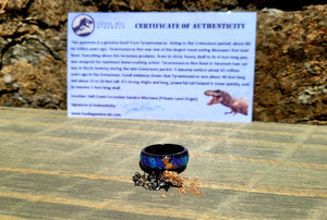 The T-Rex Galaxy Ring