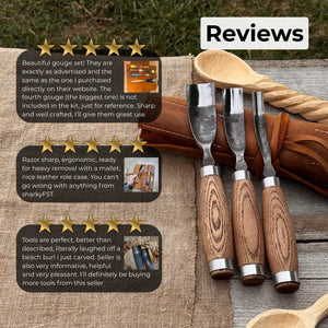 3-Piece Bent Gouge Set