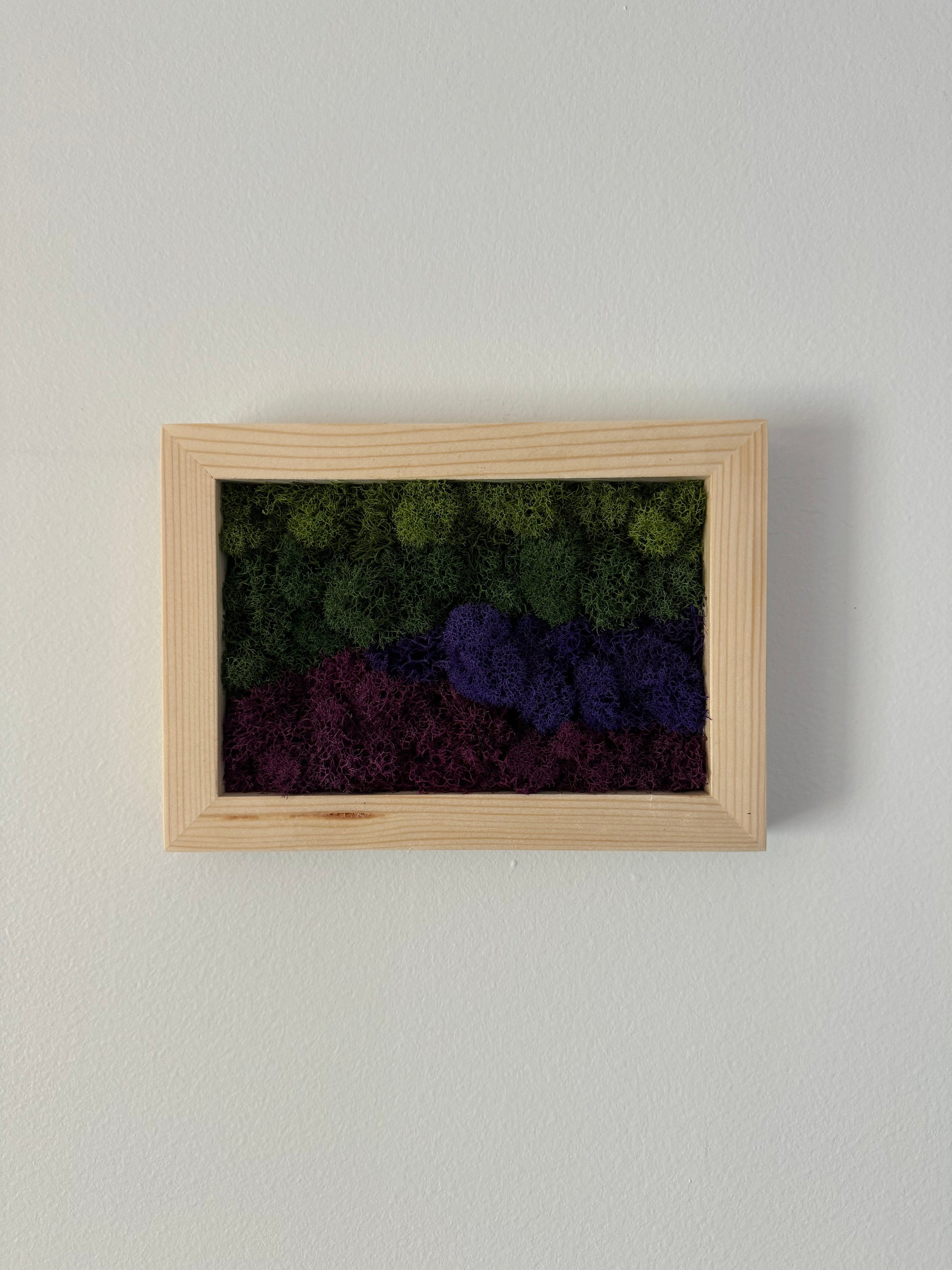Purple Mountains, Rectangle