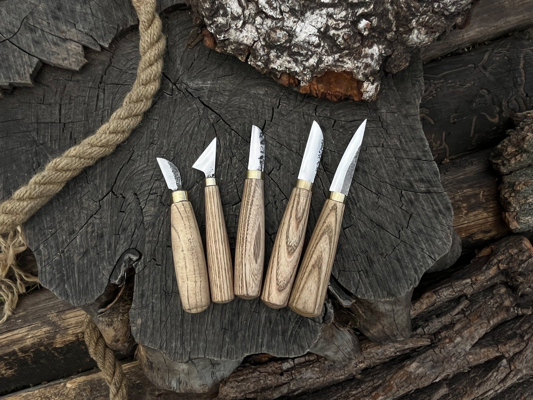 5-Piece Wood Carving Knife Set