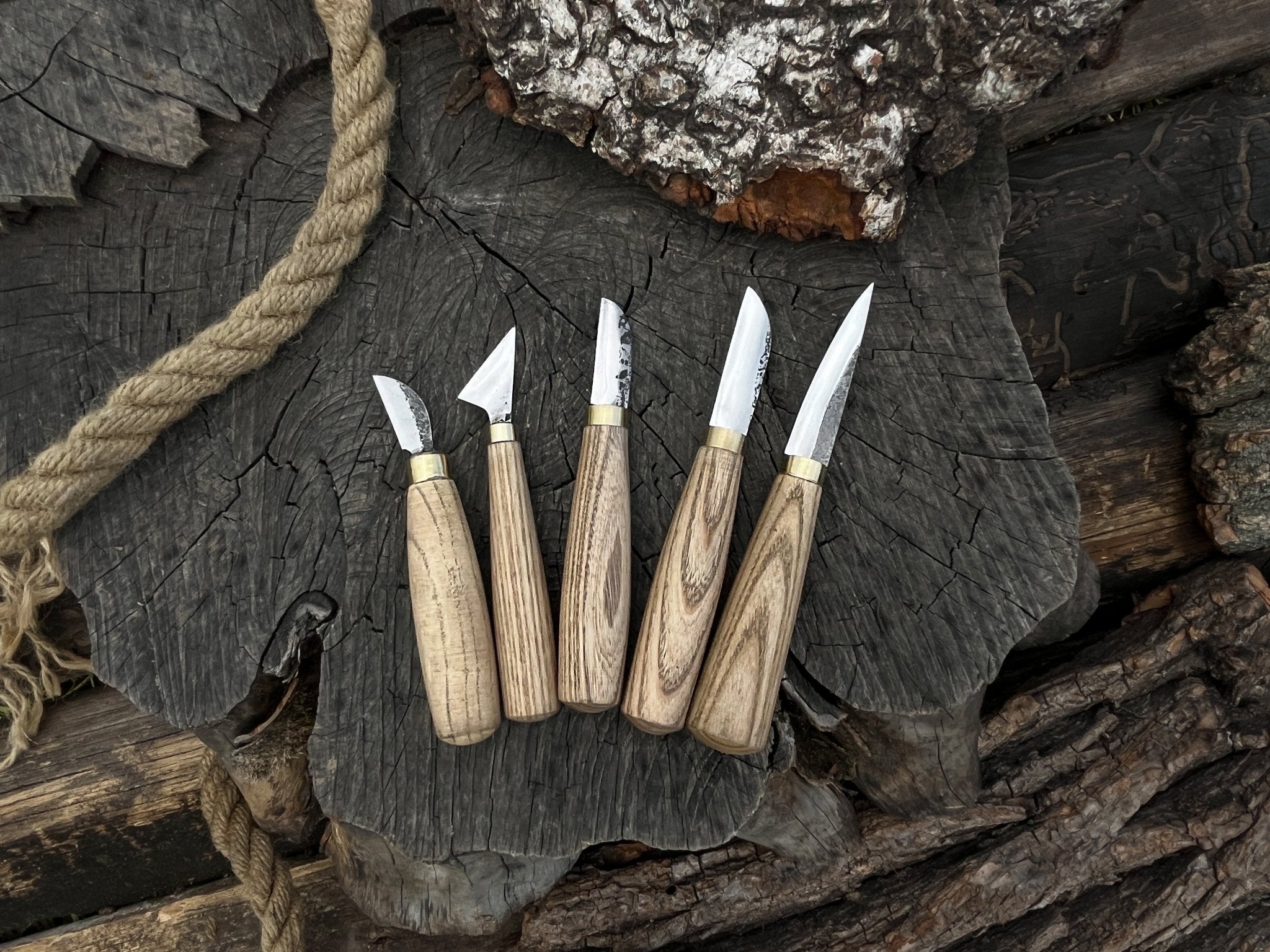 5-Piece Wood Carving Knife Set