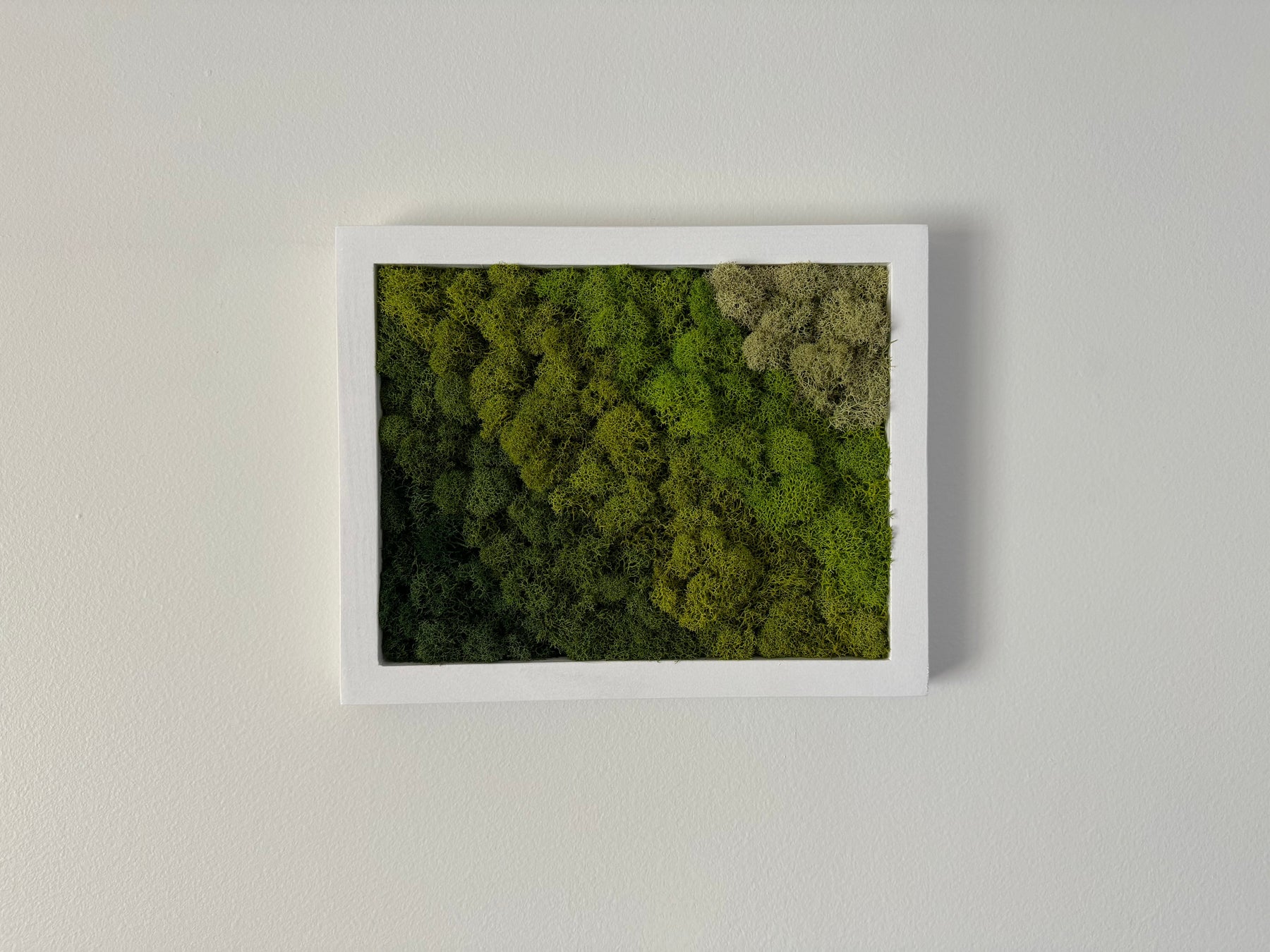 Diagonal Gradient, Rectangle