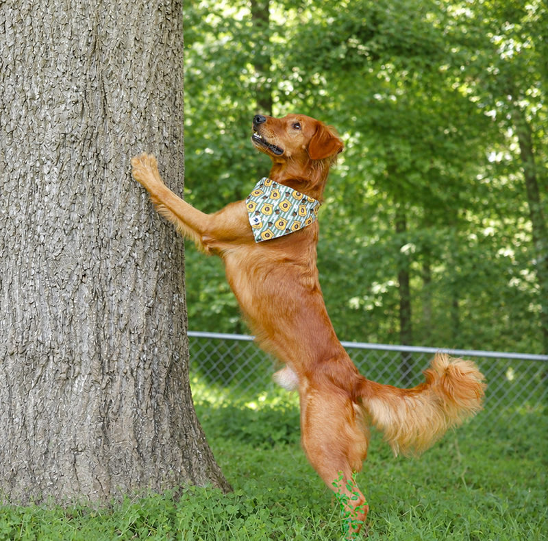 Squirrel Patrol & Pup Cup Dog Bandana by Dog Bandana Co., pet bandana detail photo 4
