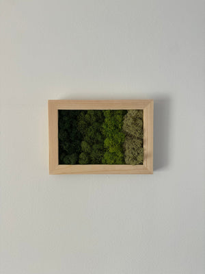 Horizontal Gradient, Rectangle