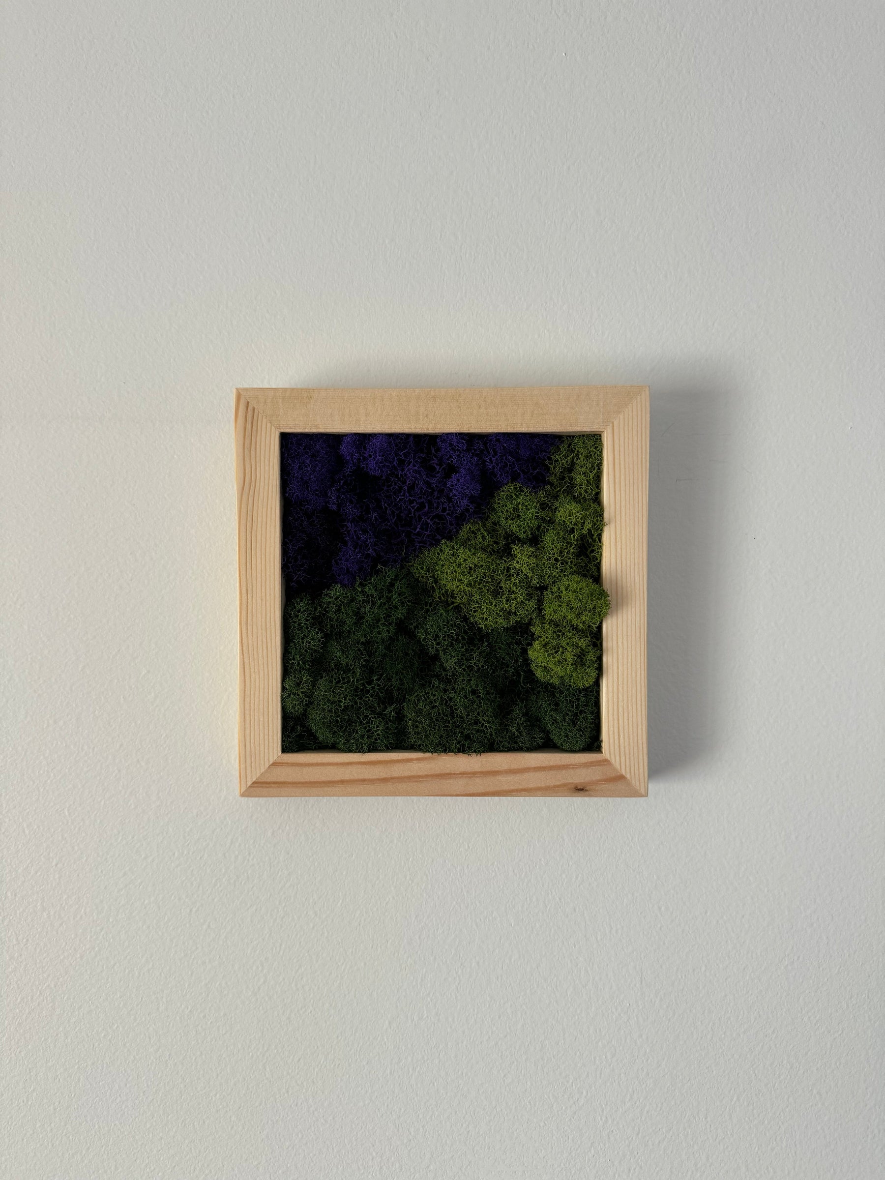 Purple Mountains, Square