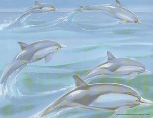 Dolphins Illustration: Personalized Name Gift - Ocean Life, A & H Creative Names