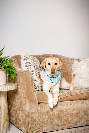 American Summer Dog Bandana Dog Bandana Co.