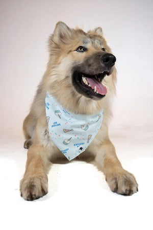 Birthday Boy & Gotcha Day Dog Bandana Dog Bandana Co.
