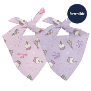 Birthday Girl & Gotcha Day Dog Bandana Dog Bandana Co.