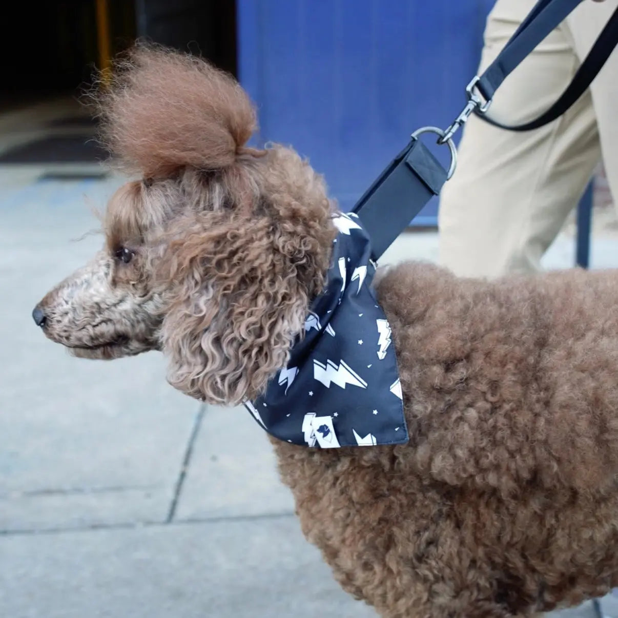 Blue Moon & Lightning Dog Bandana Dog Bandana Co.