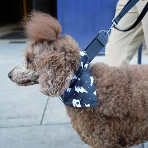 Blue Moon & Lightning Dog Bandana Dog Bandana Co.