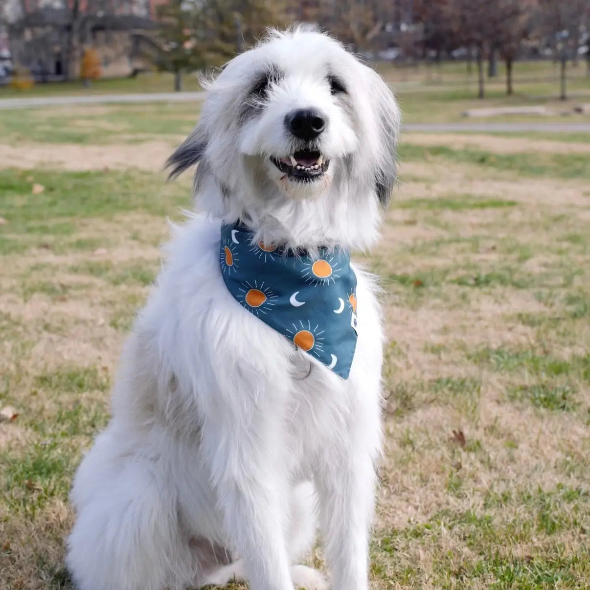Blue Moon & Lightning Dog Bandana Dog Bandana Co.