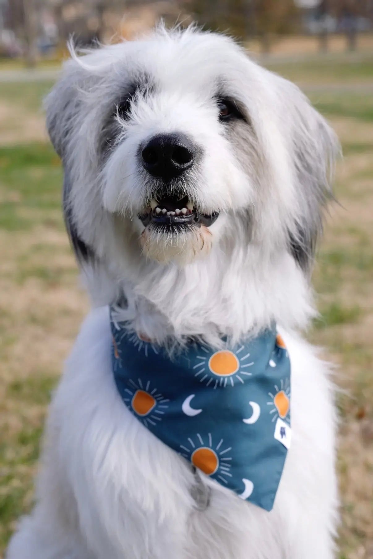 Blue Moon & Lightning Dog Bandana Dog Bandana Co.