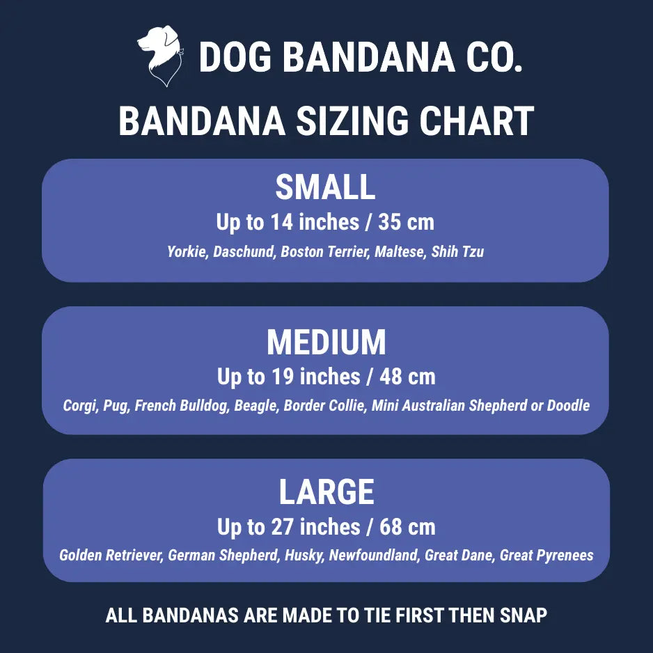Blue Moon & Lightning Dog Bandana Dog Bandana Co.