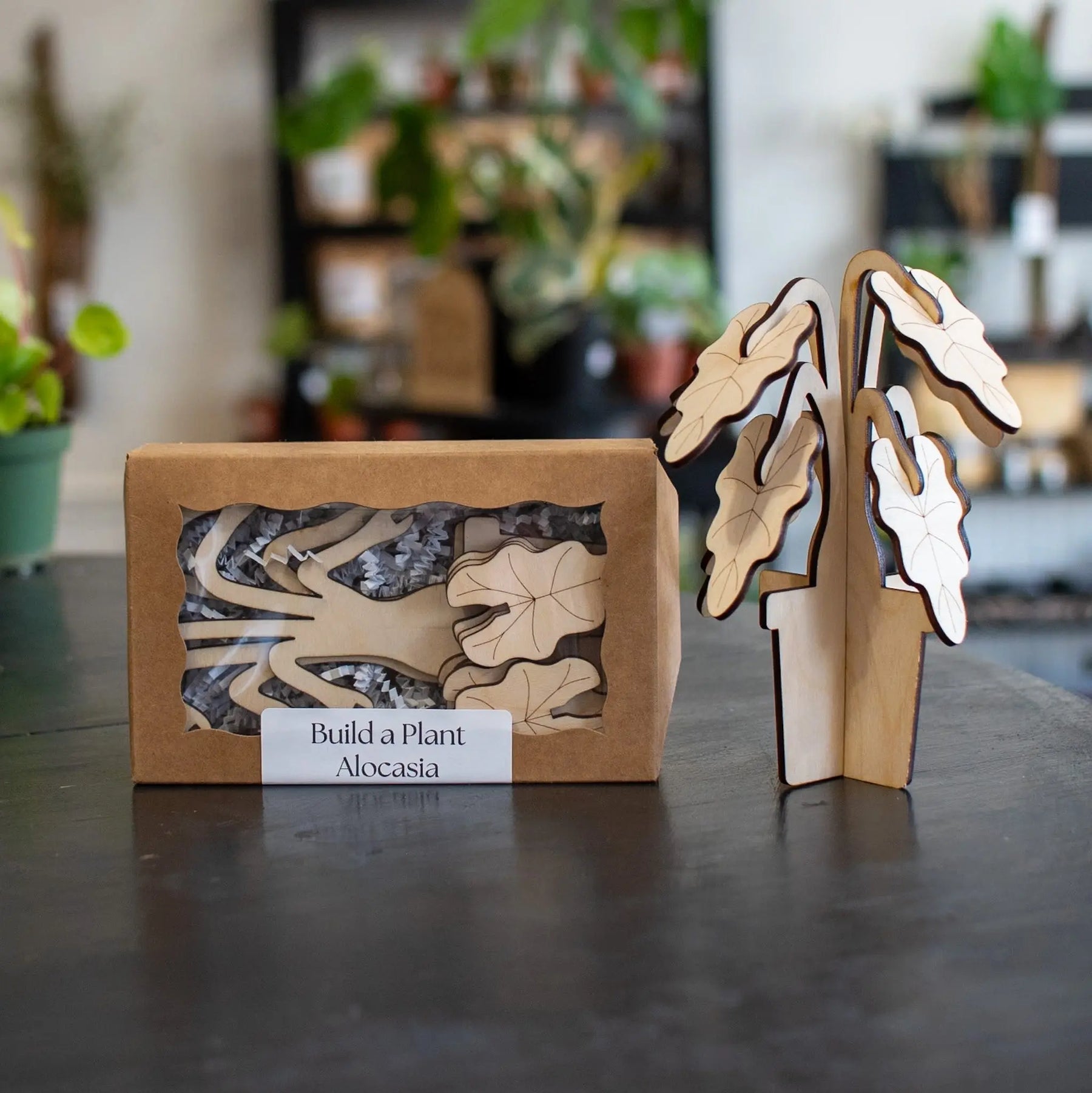 Build A Plant - Alocasia by Still Magnolia, pet accessory main product photo