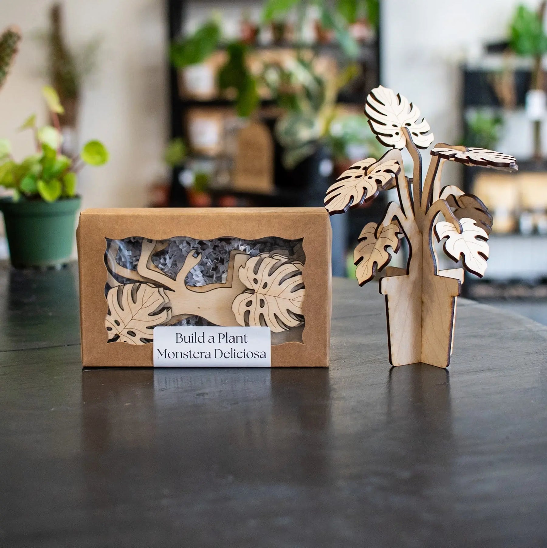 Wooden 3D Monstera Deliciosa plant model kit in box