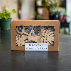 Wooden DIY kit for building a Monstera Deliciosa plant
