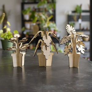 Three laser-cut wooden plant models in pots on a dark surface.