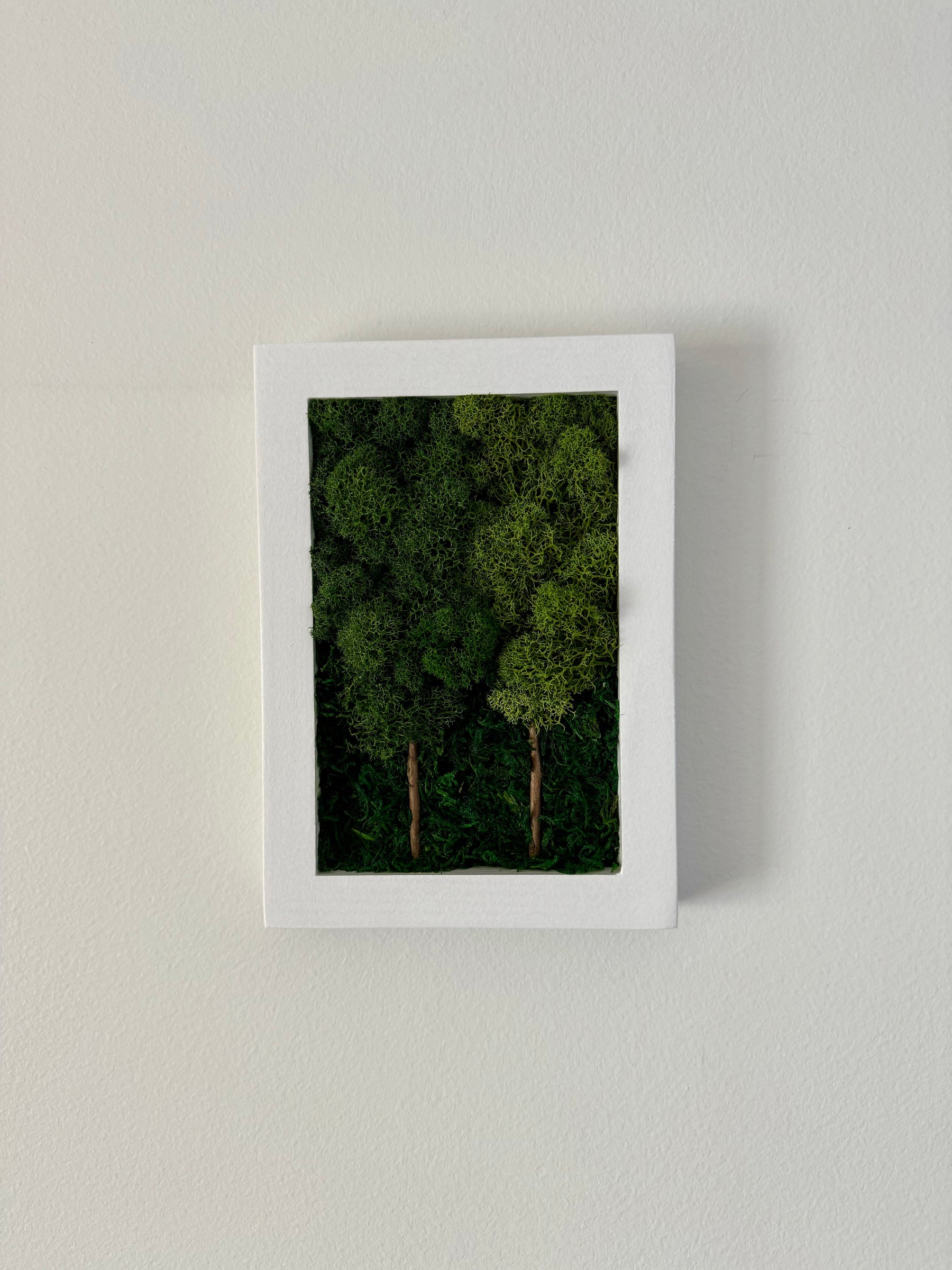 2 Tree Forest, Rectangle