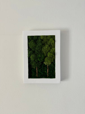 2 Tree Forest, Rectangle