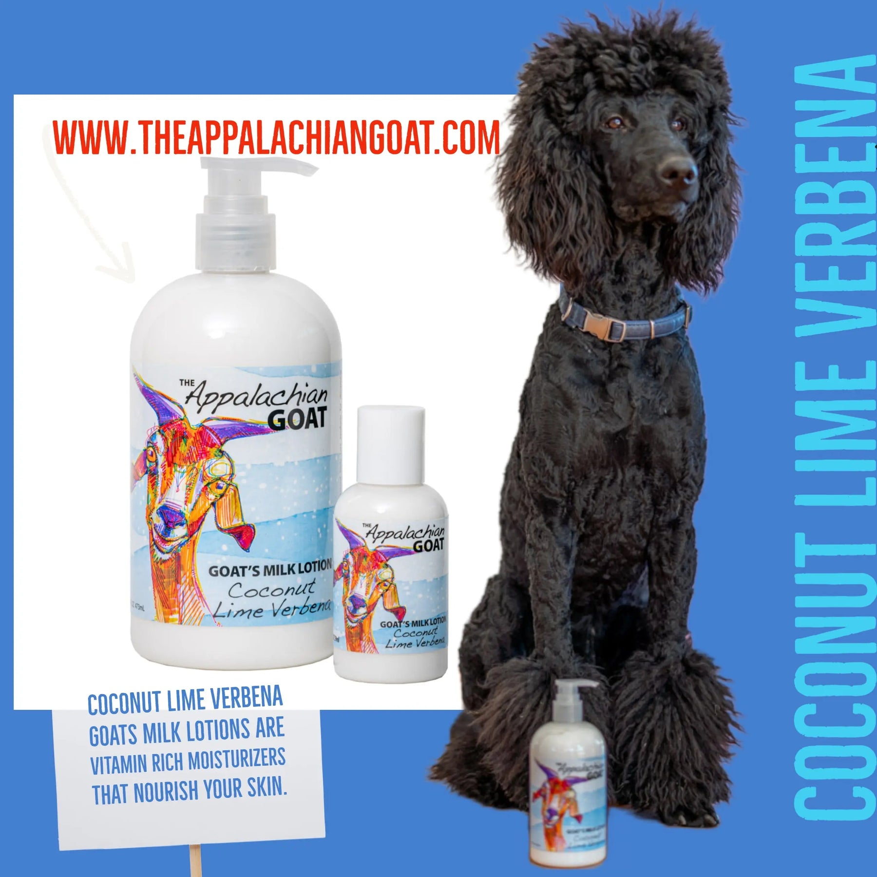 The Appalachian Goat Coconut Lime Verbena goats milk lotion bottles with a poodle.