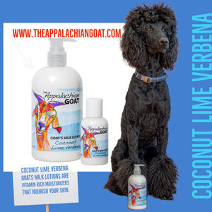 The Appalachian Goat Coconut Lime Verbena goats milk lotion bottles with a poodle.