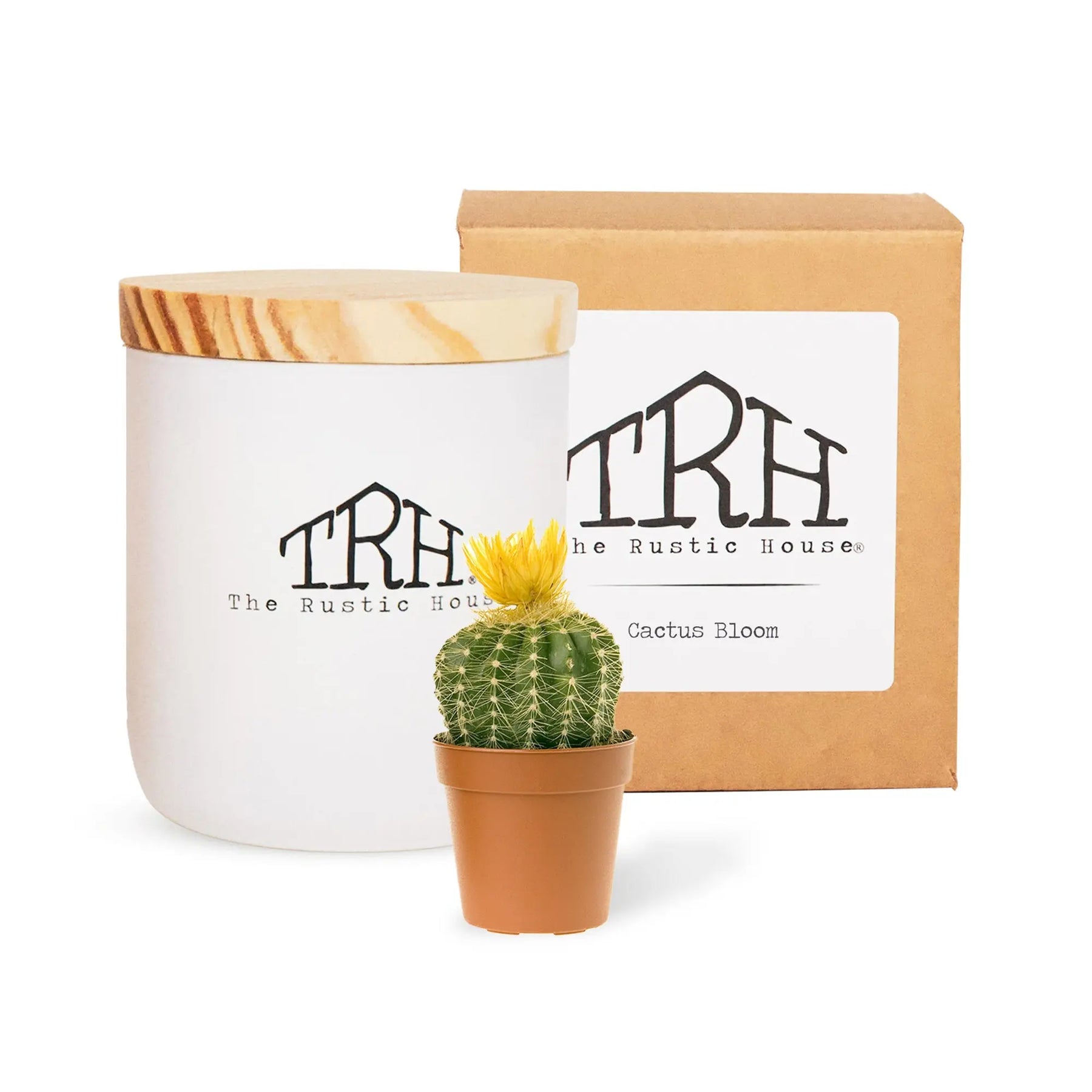 Cactus Bloom Candle The Rustic House