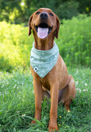 Camping & Smores Dog Bandana Dog Bandana Co.