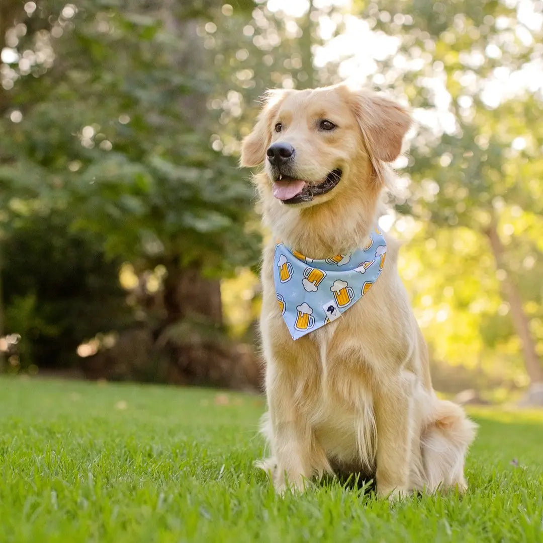 Cheers and Beers Dog Bandana Dog Bandana Co.