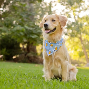 Cheers and Beers Dog Bandana Dog Bandana Co.