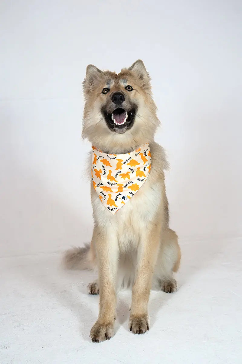 Chicken Nugget Dog Bandana Dog Bandana Co.