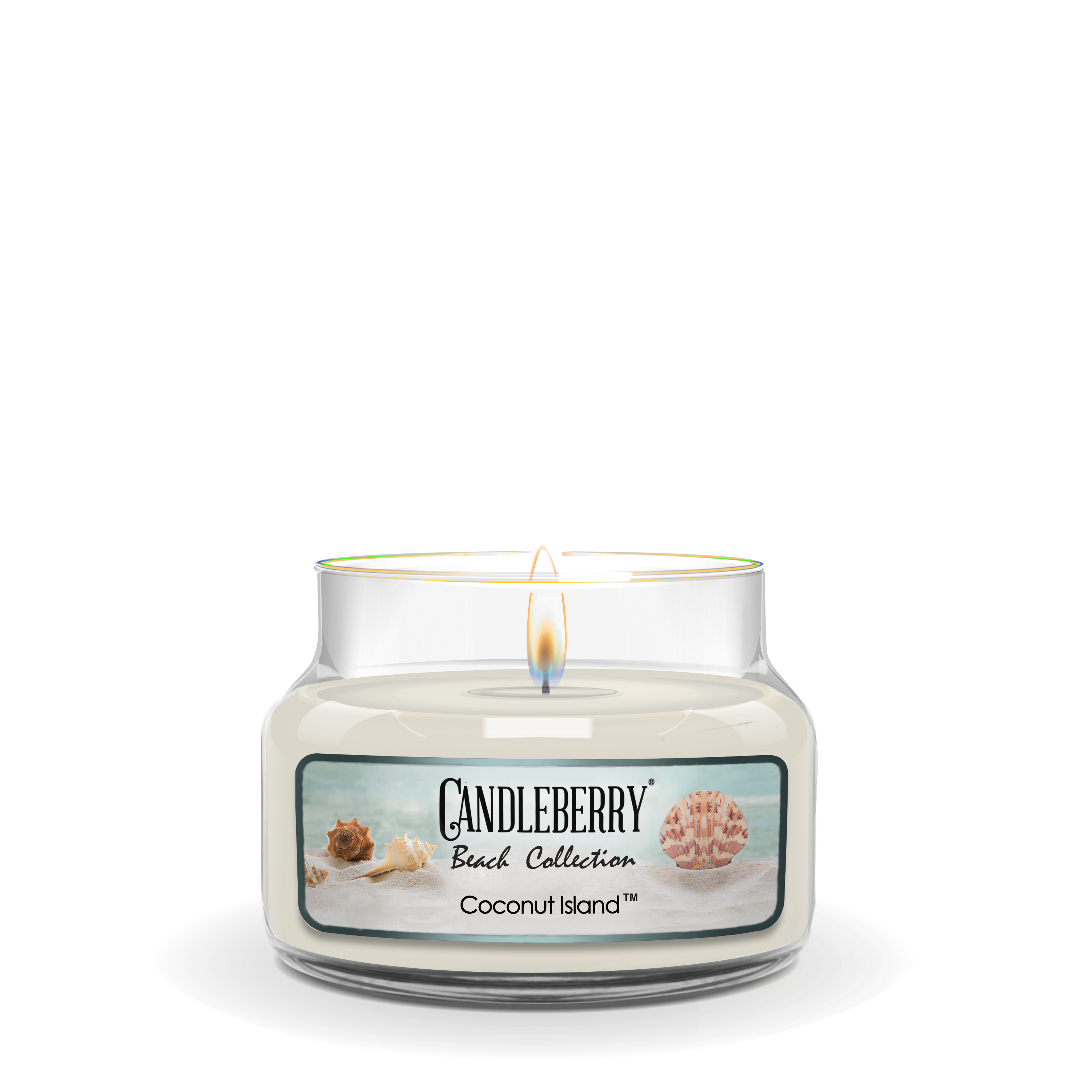 Coconut Island™, Small Jar Candle (Collective)