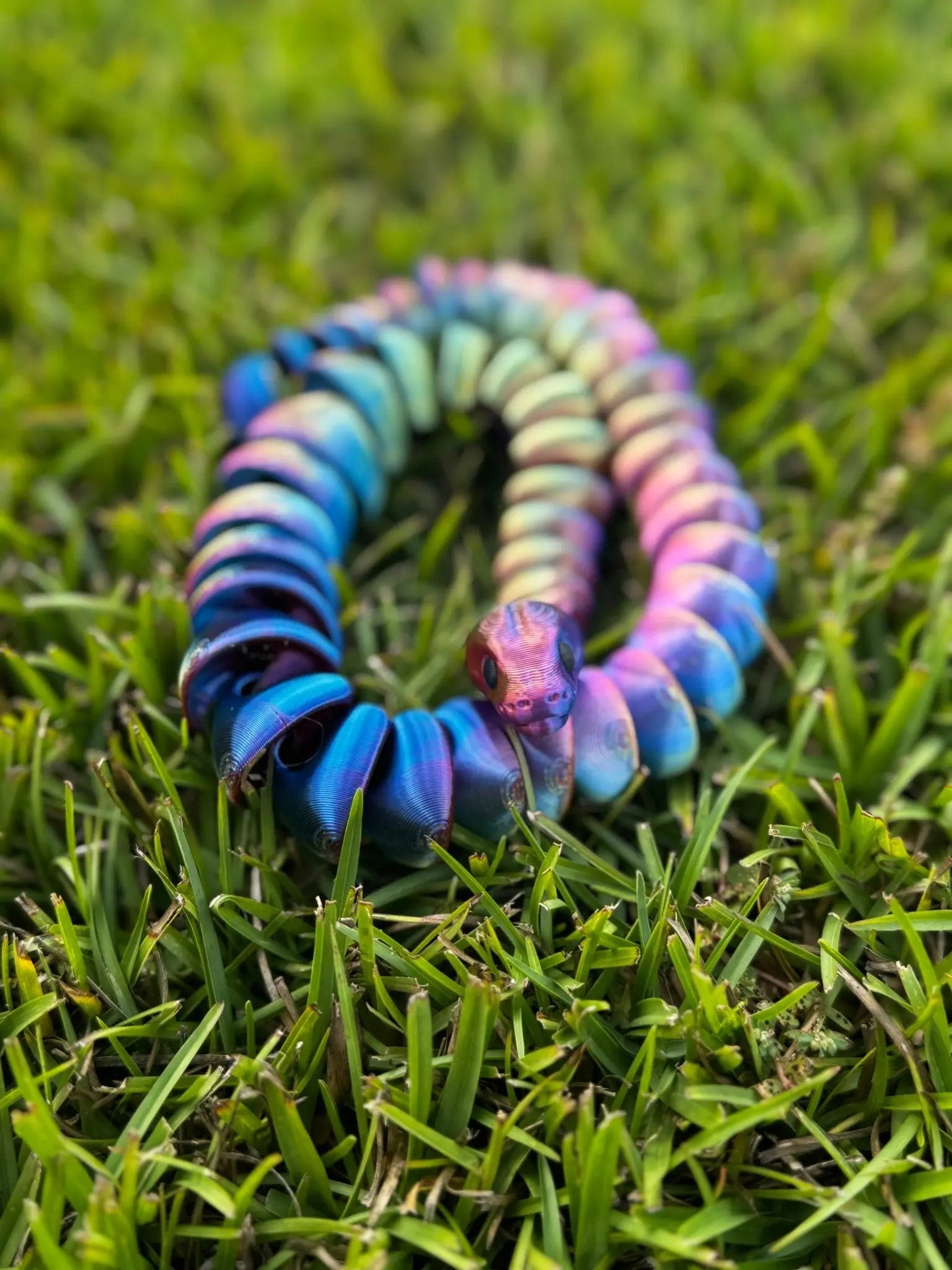 Color Shift Snake Fidget Toy Mushroom Lady Co