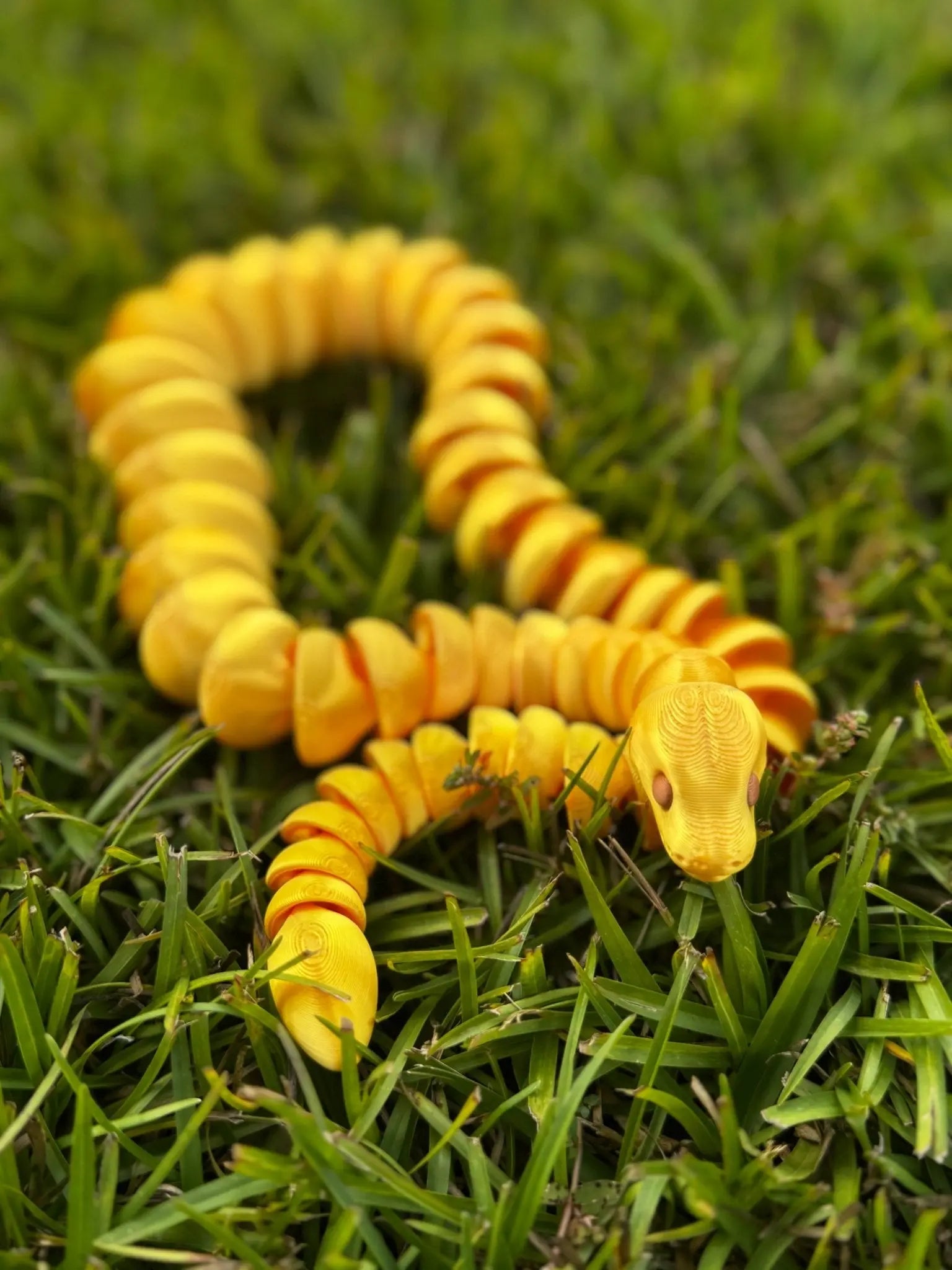 Color Shift Snake Fidget Toy Mushroom Lady Co