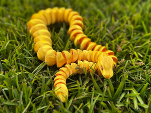 Color Shift Snake Fidget Toy Mushroom Lady Co
