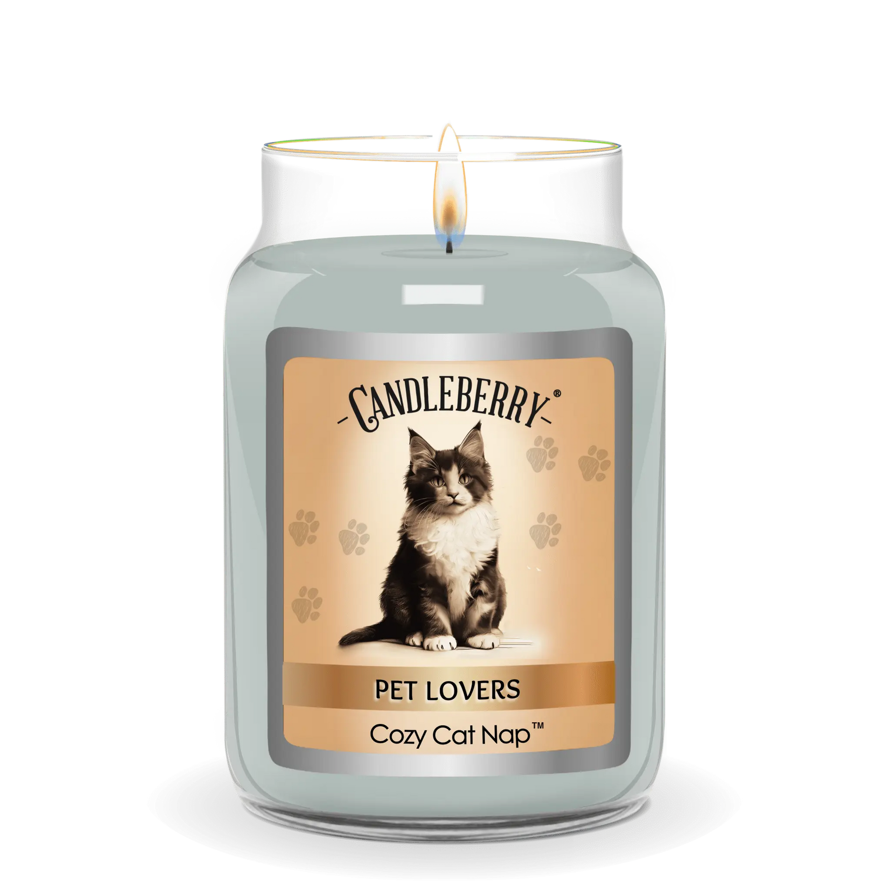 Cozy Cat Nap™ - Large Jar Candle (Collective) The Candleberry® Candle Company