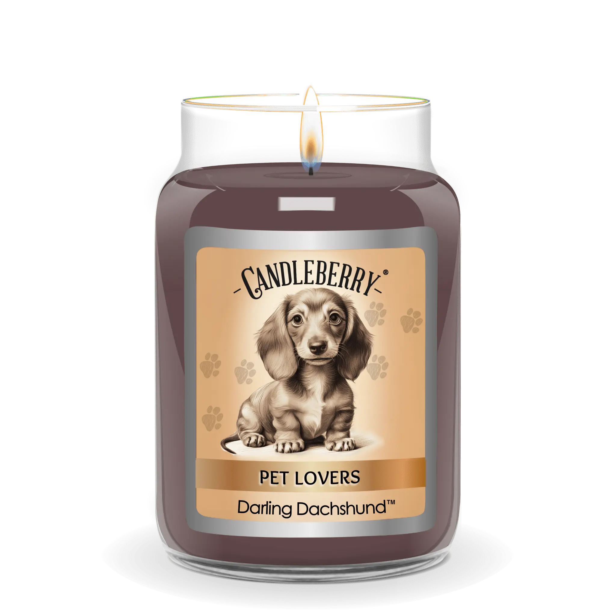 Darling Dachshund™ - Large Jar Candle (Collective) The Candleberry® Candle Company