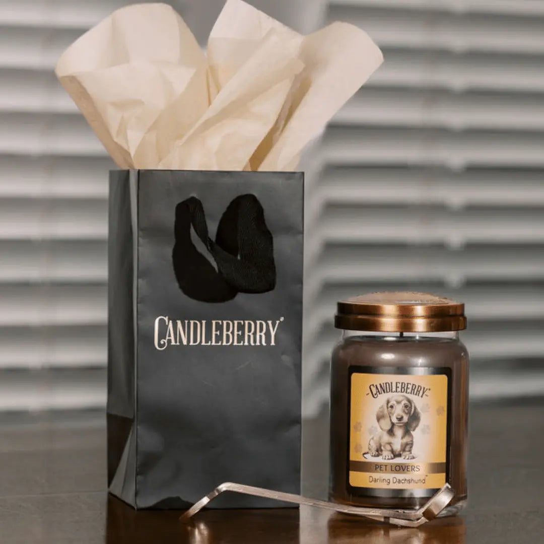 Darling Dachshund™ - Large Jar Candle (Collective) The Candleberry® Candle Company