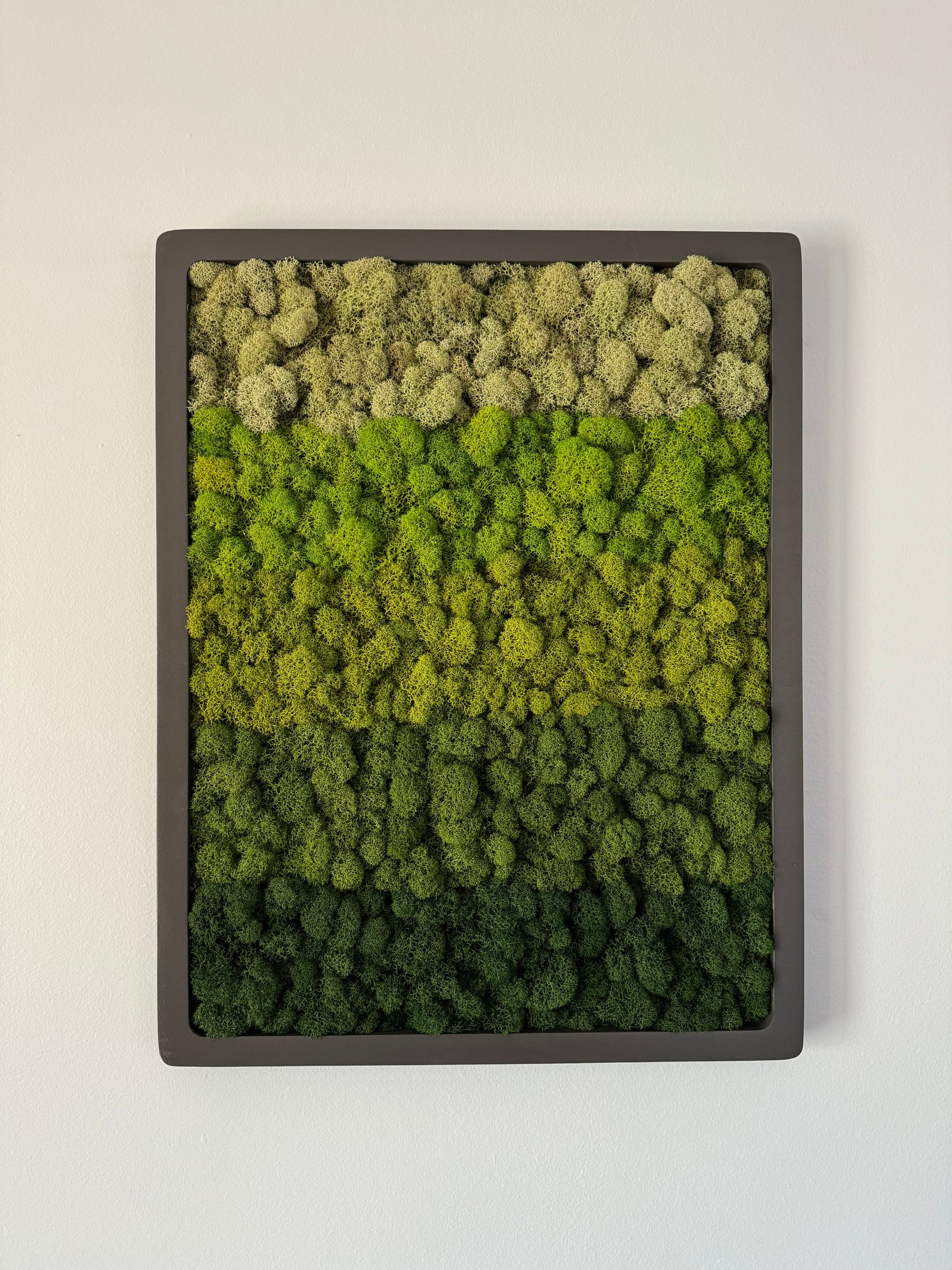 Vertical Gradient, Rectangle