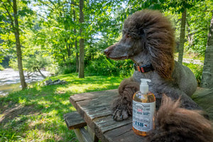 ESB Craft Beer Liquid Soap by Essential Journeys in a pump bottle.