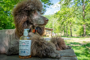 Brown poodle with a bottle of ESB Craft Beer Soap on a wooden surface outdoors.