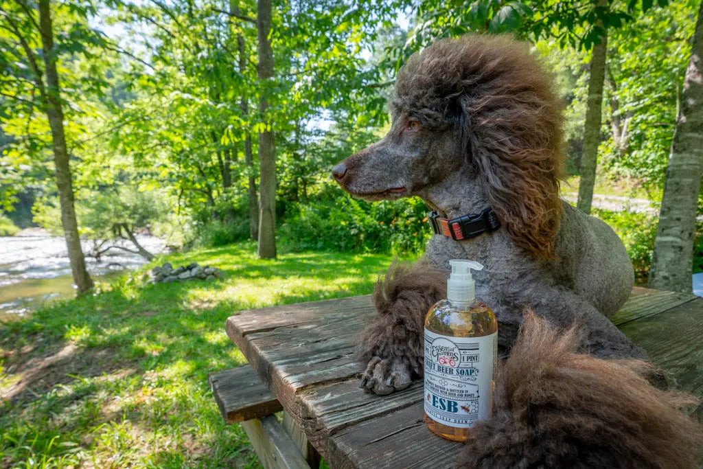 Bottle of ESB Craft Beer Soap next to a brown poodle sitting on a wooden table outdoors.