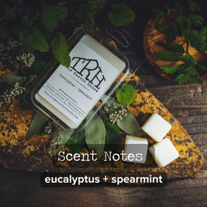 Eucalyptus + Spearmint wax melt in clear packaging with mint leaves.